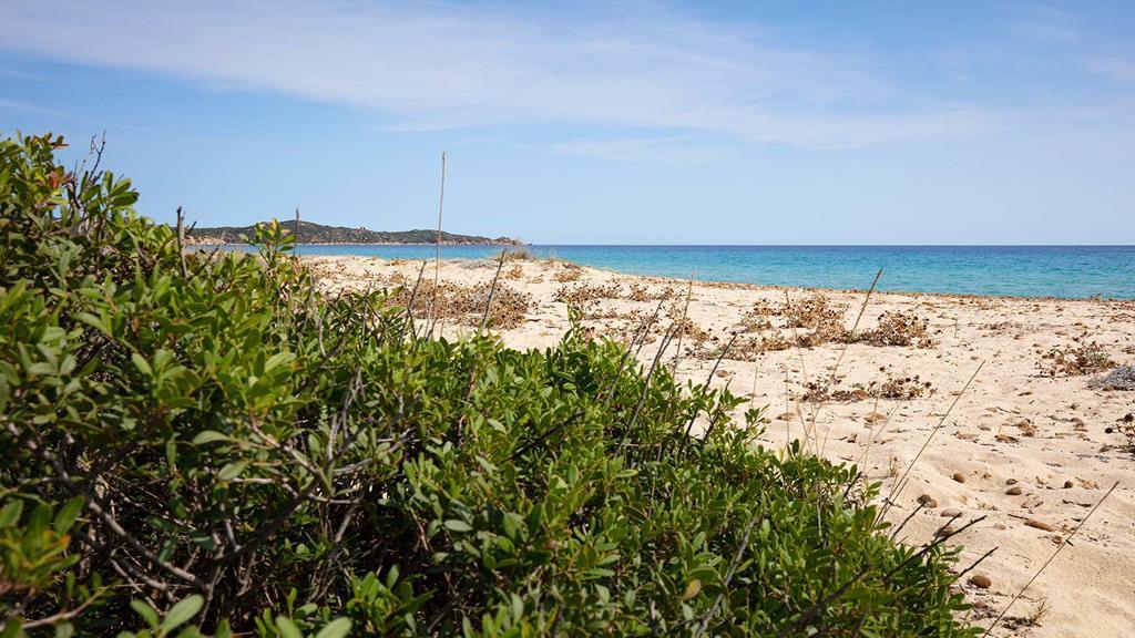 קוסטה ריי Marina Rey Beach Resort מראה חיצוני תמונה